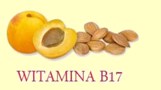pestki z moreli - żródło witaminy B17
